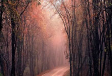 如何做Youtube视频SEO优化？