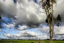 如何做Youtube视频SEO优化？