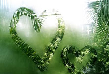 如何做Youtube视频SEO优化？