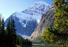 必应Bing的搜索广告和展示(受众)广告分别在哪些地方展示