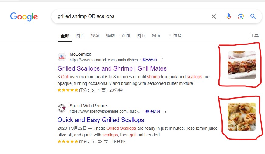 网站SEO优化--Google搜索结果的右侧缩略图通过OG协议标签设定 